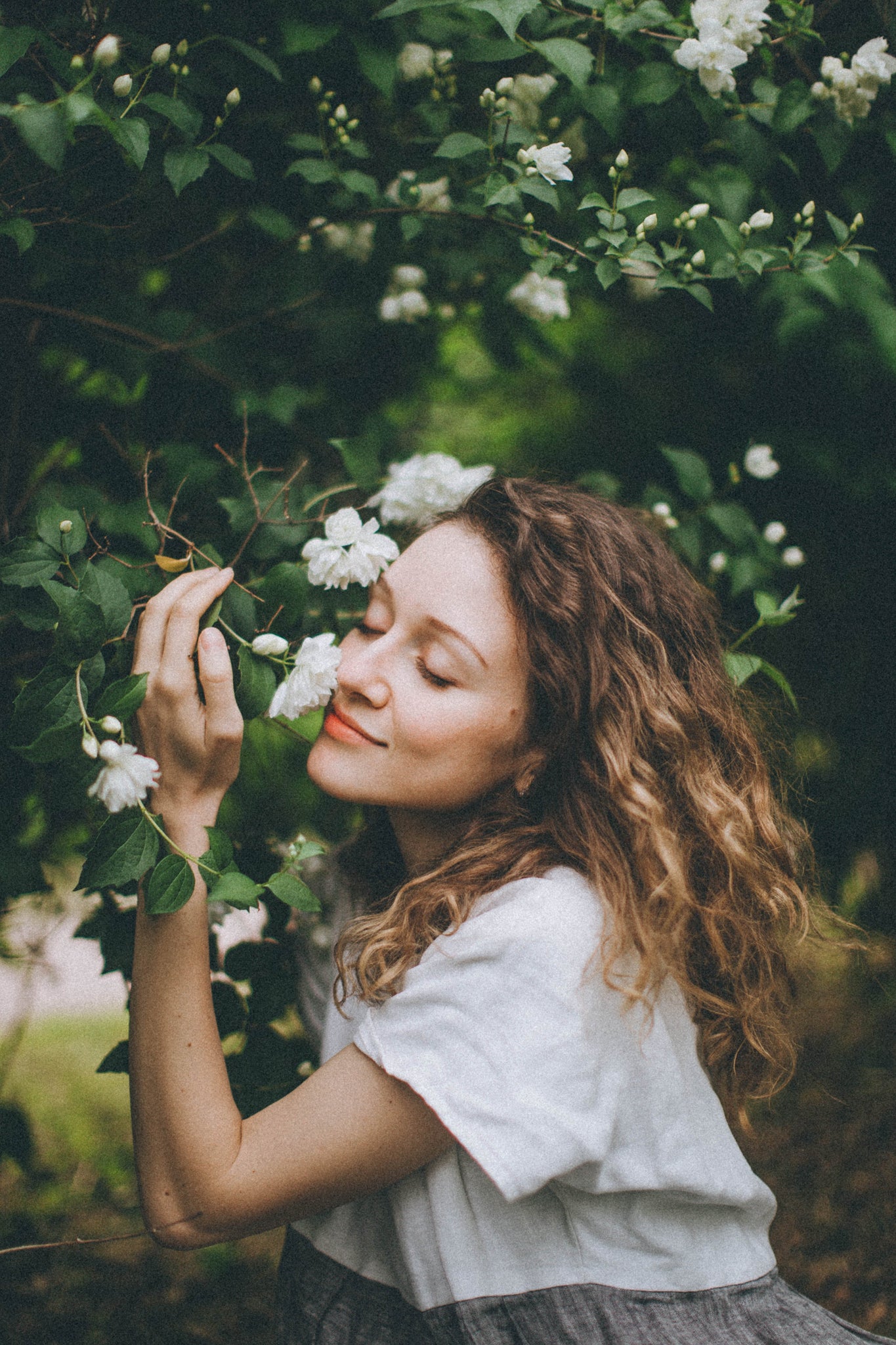 Yarrow | Sable Blonde | Flower Hair Color Powder